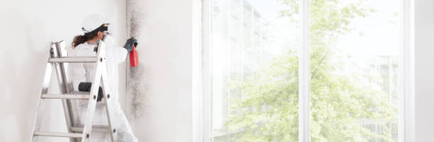 Mold Remediation for Vacation Homes in Clinton, LA